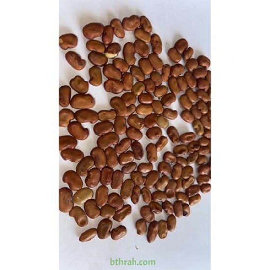 بذور شجرة السيسبان-Sesbania grandiflora بذور شجرة السيسبان-Sesbania grandiflora