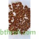 بذور شجرة السيسبان-Sesbania grandiflora بذور شجرة السيسبان-Sesbania grandiflora