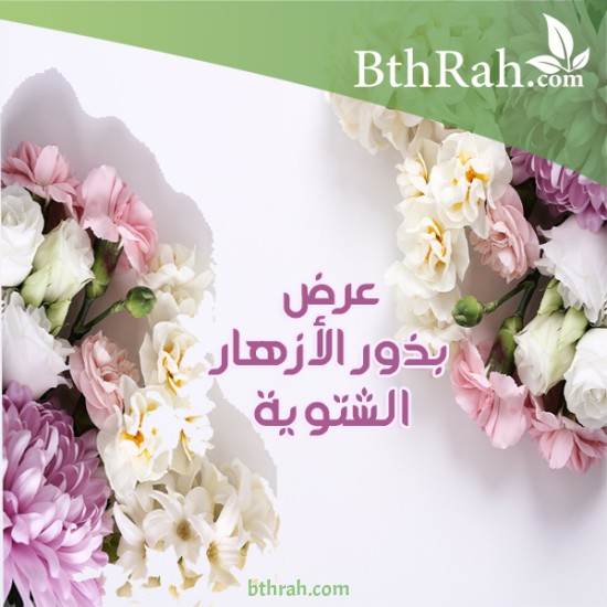 بذور نباتات الزهور الشتوية خصم 15% +أصص هدية
