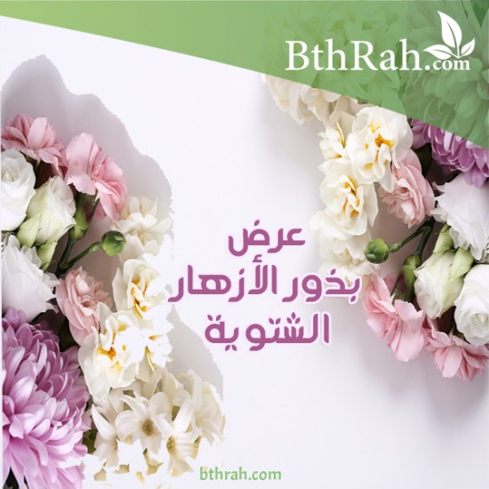 بذور نباتات الزينة الشتوية خصم 15% +أصص هدية بذور نباتات الزينة الشتوية خصم 15% +أصص هدية
