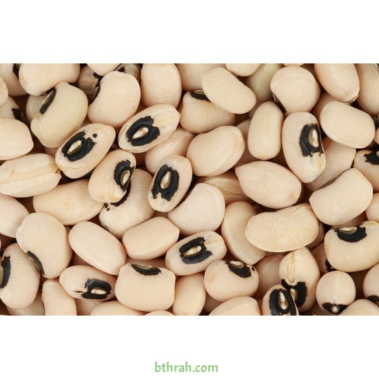 بذور نبات اللوبيا-Vigna unguiculata بذور نبات اللوبيا-Vigna unguiculata