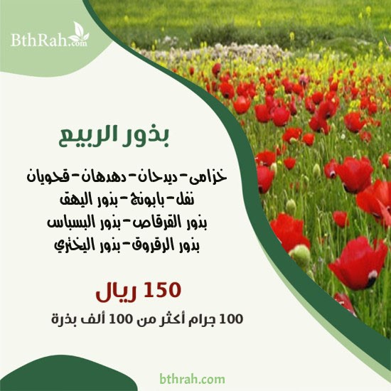 بذور نباتات الربيع