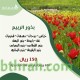 بذور نباتات الربيع