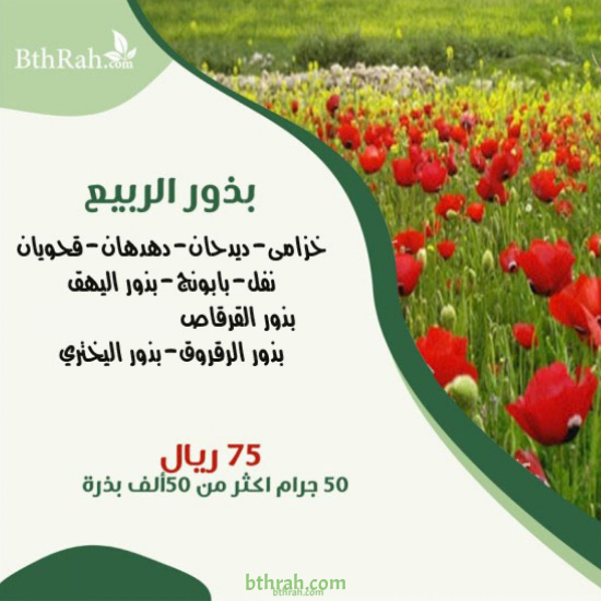 بذور الربيع 