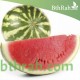 بذور بطيخ (Citrullus lanatus) بذور بطيخ (Citrullus lanatus)