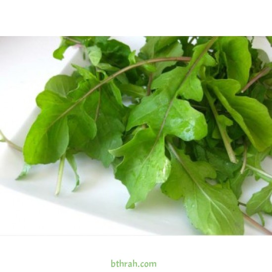 بذور الجرجير - Eruca vesicaria ssp. sativa بذور الجرجير - Eruca vesicaria ssp. sativa