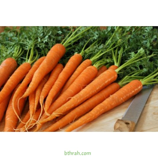 بذور الجزر - Daucus carota بذور الجزر - Daucus carota
