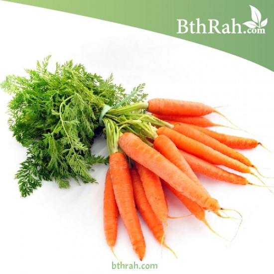 بذور الجزر Daucus Carota 200