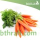 بذور الجزر - Daucus carota بذور الجزر - Daucus carota