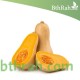 بذور القرع (Cucurbita pepo) بذور القرع (Cucurbita pepo)