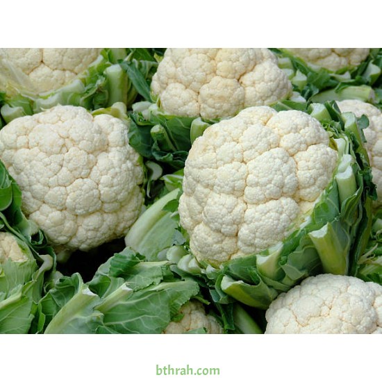 بذور القرنبيط(Cauliflower)