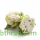 بذور القرنبيط(Cauliflower) بذور القرنبيط(Cauliflower)