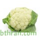 بذور القرنبيط(Cauliflower) بذور القرنبيط(Cauliflower)