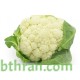 بذور القرنبيط(Cauliflower)