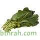 بذور الملوخية (Corchorus olitorius) بذور الملوخية (Corchorus olitorius)