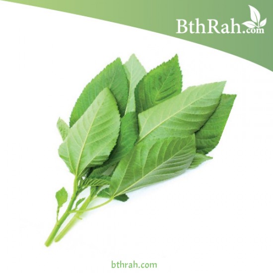 بذور الملوخية (Corchorus olitorius) بذور الملوخية (Corchorus olitorius)