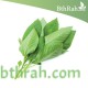 بذور الملوخية (Corchorus olitorius) بذور الملوخية (Corchorus olitorius)