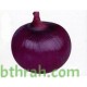 بذور بصل احمر (Allium cepa) بذور بصل احمر (Allium cepa)