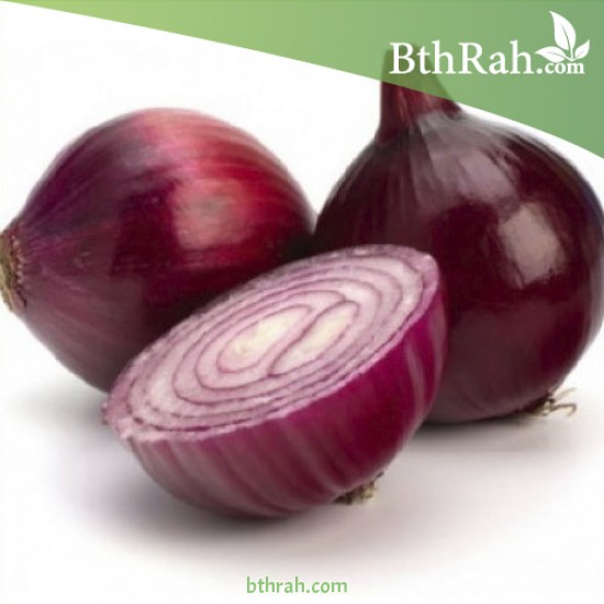 بذور بصل احمر (Allium cepa) بذور بصل احمر (Allium cepa)