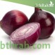 بذور بصل احمر (Allium cepa) بذور بصل احمر (Allium cepa)