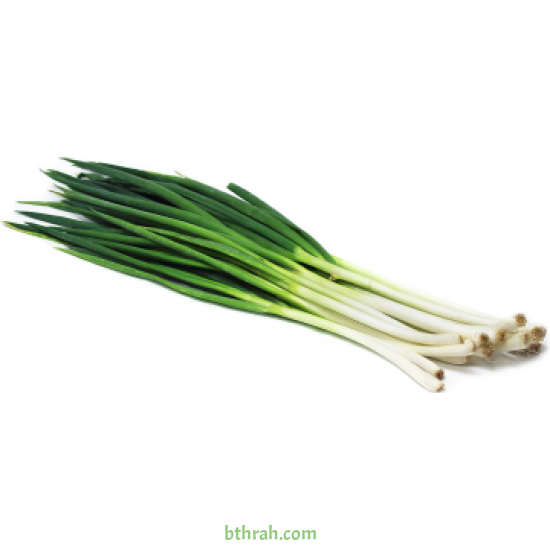 بذور البصل الأخضر - Allium cepa بذور البصل الأخضر - Allium cepa