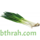 بذور البصل الأخضر - Allium cepa بذور البصل الأخضر - Allium cepa
