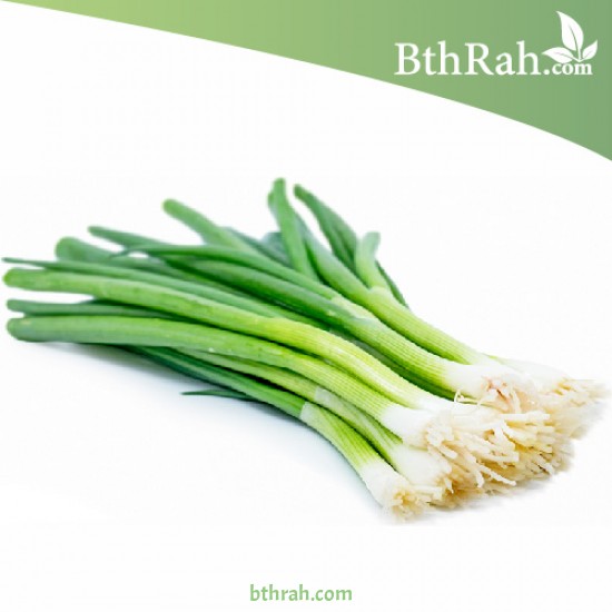 بذور البصل الأخضر - Allium cepa بذور البصل الأخضر - Allium cepa