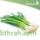 بذور البصل  الأخضر - Allium cepa