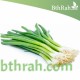 بذور البصل الأخضر - Allium cepa بذور البصل الأخضر - Allium cepa
