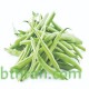 بذور الفاصولياء - Phaseolus بذور الفاصولياء - Phaseolus
