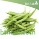 بذور الفاصولياء - Phaseolus بذور الفاصولياء - Phaseolus