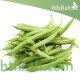 بذور الفاصولياء - Phaseolus بذور الفاصولياء - Phaseolus