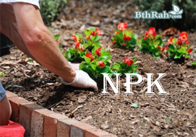 السماد المتوازن NPKوفائدته للنبات