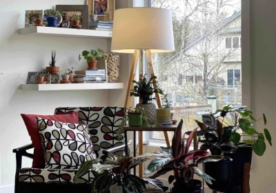 أفكار فريدة لتزيين النباتات لمنزلك