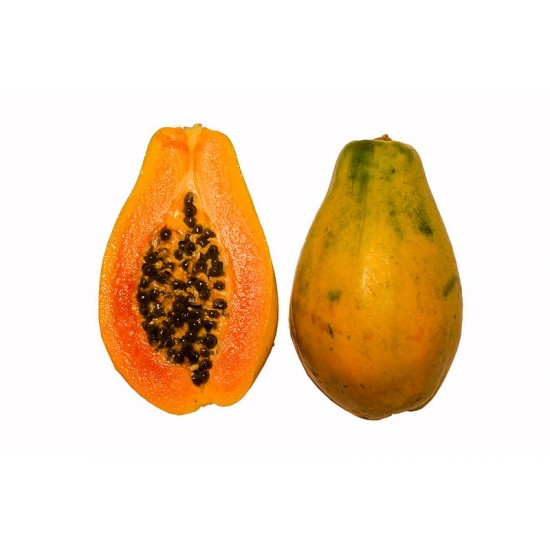 بذور البابايا التايلندية - Carica papaya بذور البابايا التايلندية - Carica papaya