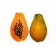 بذور البابايا التايلندية - Carica papaya بذور البابايا التايلندية - Carica papaya