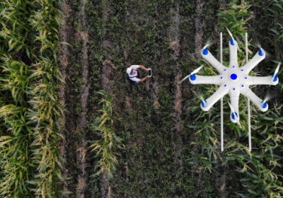 الابتكار في مجال الزراعة العضوية