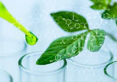 تطورات التكنولوجيا الحيوية في مقاومة الأمراض النباتية