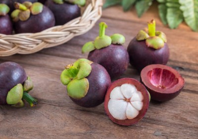 ملكة الفواكه في الخليج: زراعة المانجوستين بنجاح في البيئة الصحراوية ملكة الفواكه في الخليج: زراعة المانجوستين بنجاح في البيئة الصحراوية