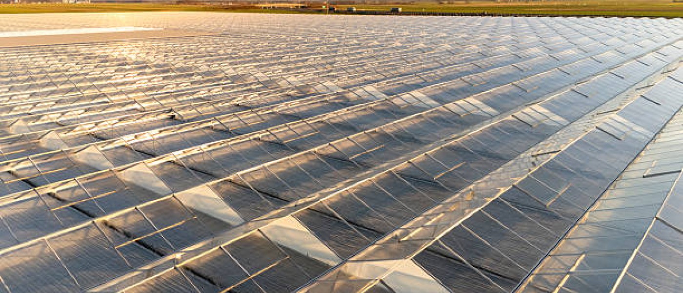 البيوت المحمية – مستقبل الزراعة الحديثة في السعودية