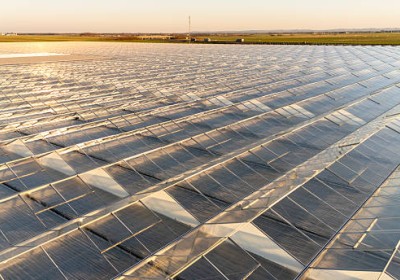 البيوت المحمية – مستقبل الزراعة الحديثة في السعودية