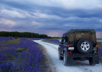 الرحلات الزراعية الثقافية العملية: تجربة مميزة لتعزيز التواصل الثقافي وتحقيق الاستدامة الزراعية