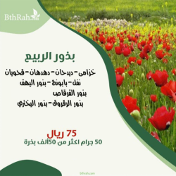 بذور الربيع 