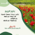 بذور الربيع 