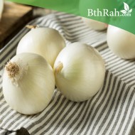 بذور البصل الأبيض-White grano بذور البصل الأبيض-White grano