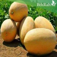 بذور شمام إيراني -Cucumis  بذور شمام إيراني -Cucumis