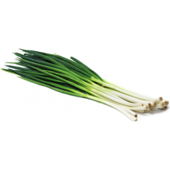 بذور البصل الأخضر - Allium cepa بذور البصل الأخضر - Allium cepa