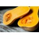 بذور قرع امريكي - Cucurbita pepo بذور قرع امريكي - Cucurbita pepo