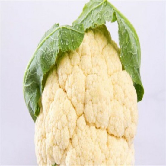 بذور القرنبيط(Cauliflower) بذور القرنبيط(Cauliflower)