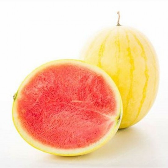 بذور بطيخ (Citrullus lanatus) بذور بطيخ (Citrullus lanatus)